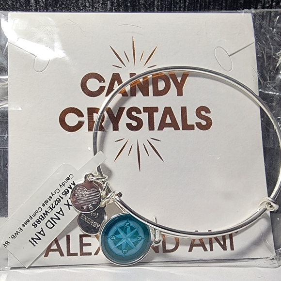 Alex and Ani Crystal Compass Charm Bangle Bracelet - Shiny Silver | New With Tag - Picture 1 of 8